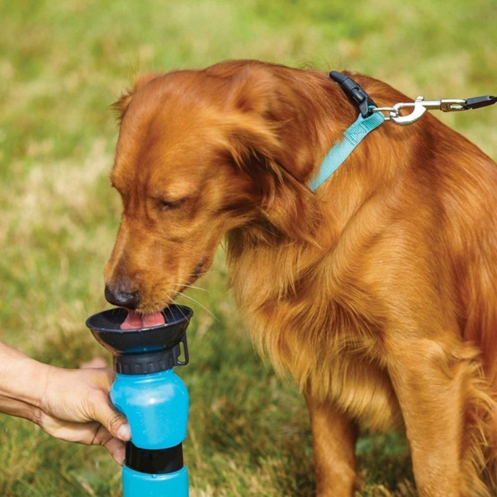 Bebedero Portatil Para Perros Aqua Dog